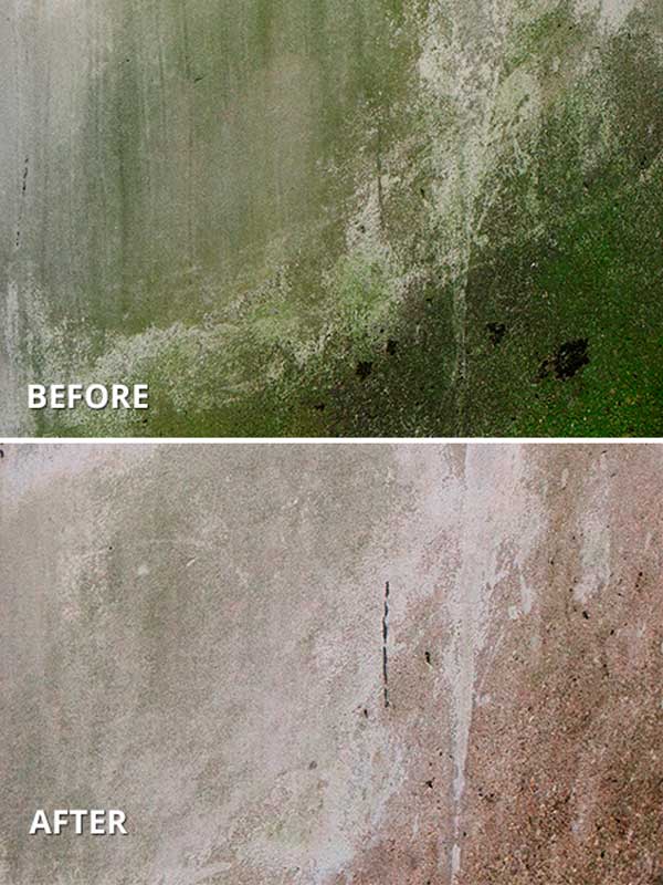 28835 - WPJ GreenWater+ Sidewalk and Patio Cln. 64oz w/ FREE Pivot Jet | the Hyde Store